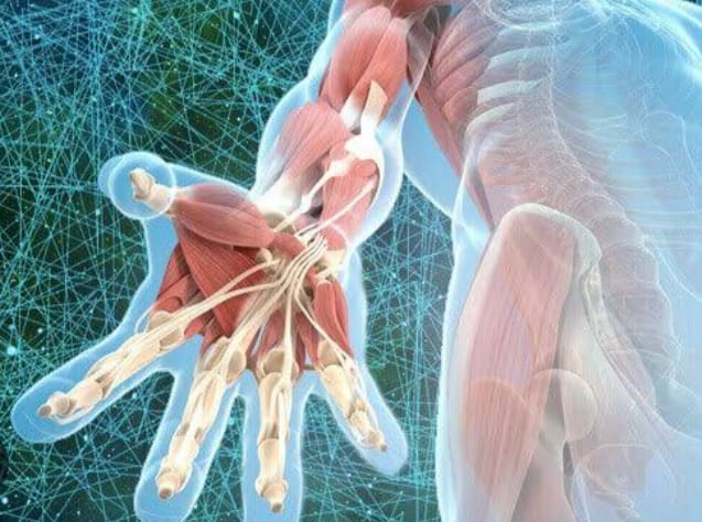 Daniela Ribeiro Barbosa