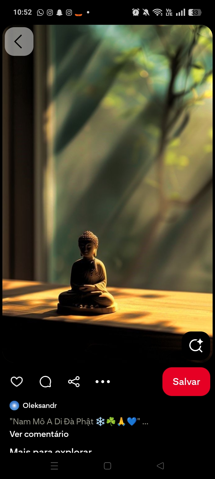 Regiane Alves Dantas 