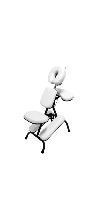 Daiana Gonçalves dos Santos 