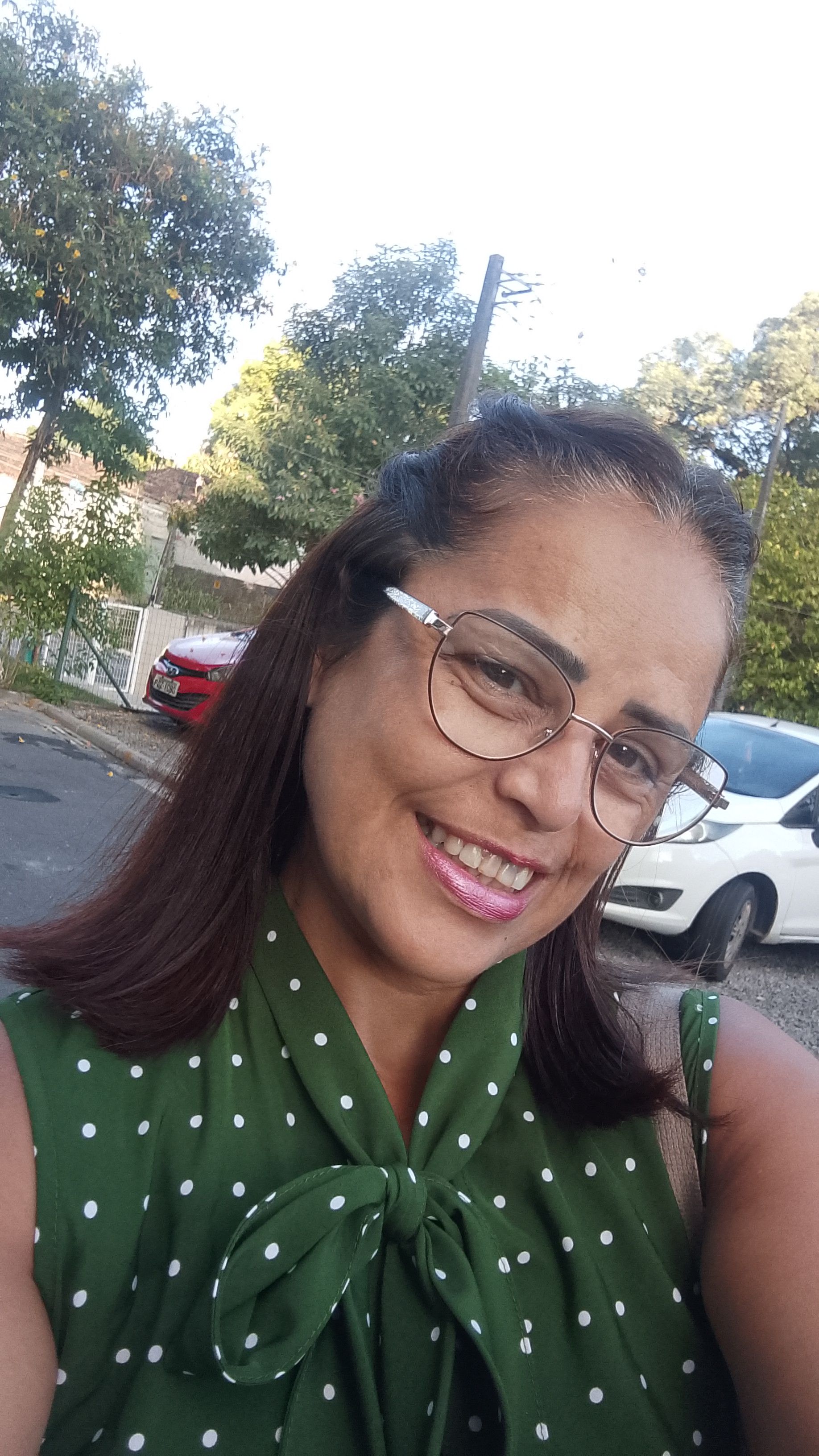 Ana lucia Lourenço gomes, massoterapeuta em Recife, PE